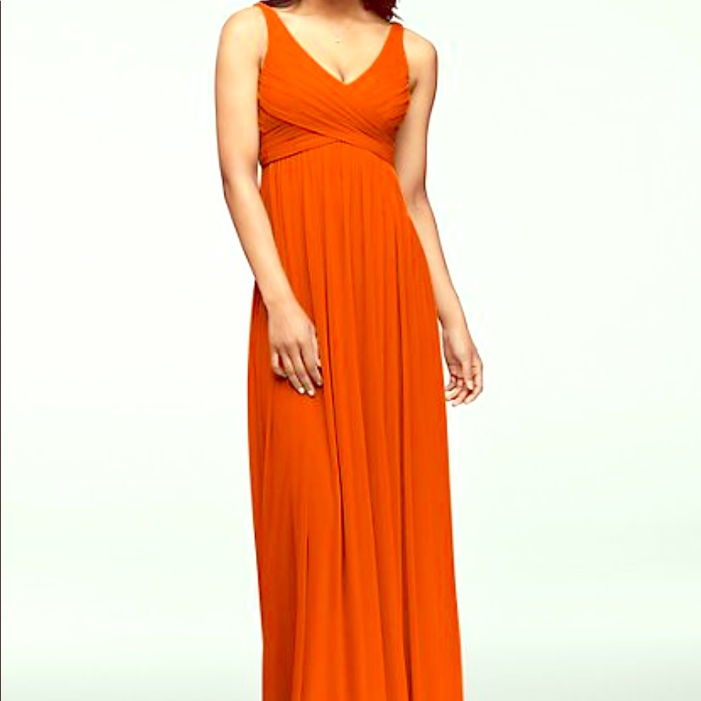 David’s Bridal  size 14